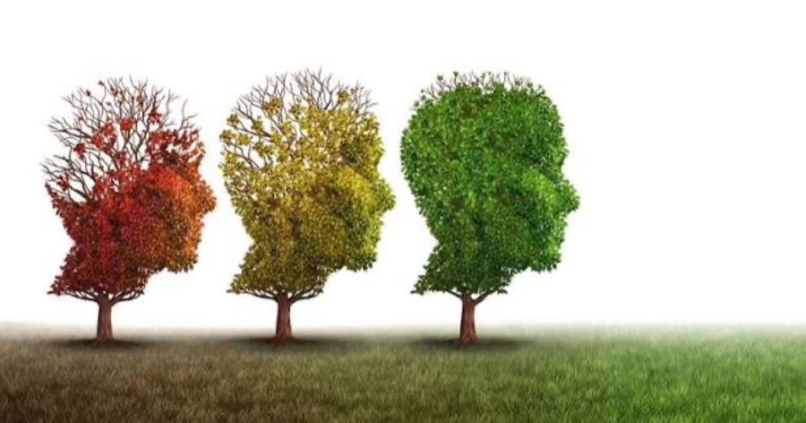Three tree-shaped heads turning green (illustration)